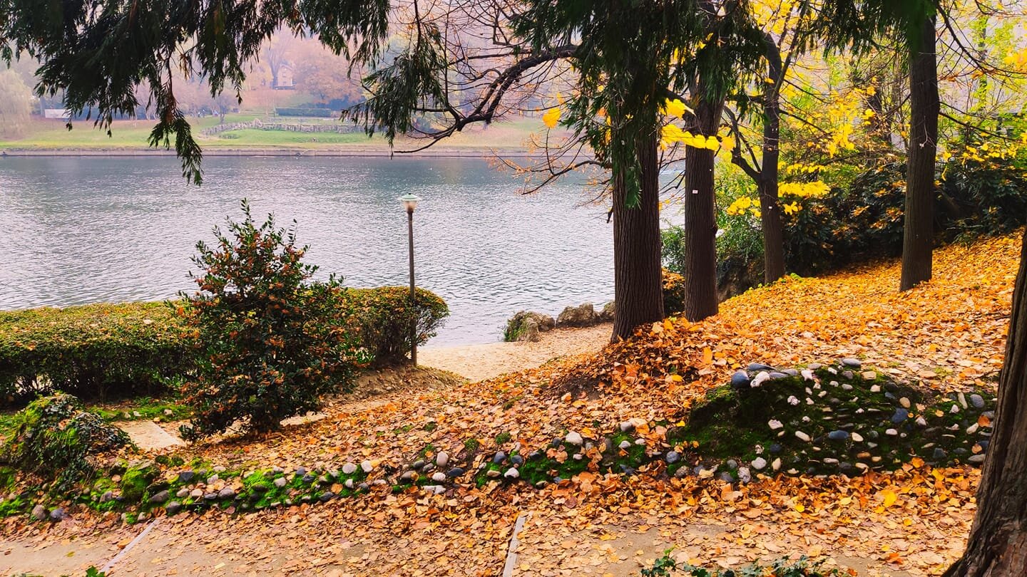 Foliage, una gallery dai lettori