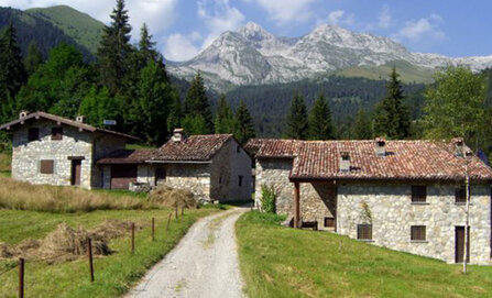 e50a6d1b3510c533476675bf5838b467ef4e046d