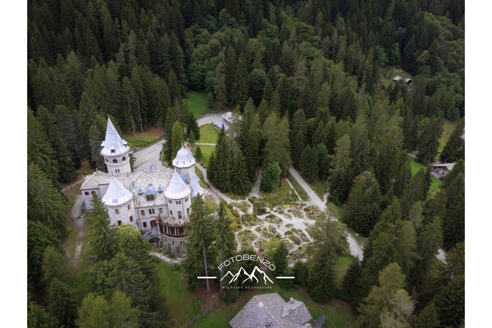 _ji_0721 (dji fc7303 4000x3000).jpeg