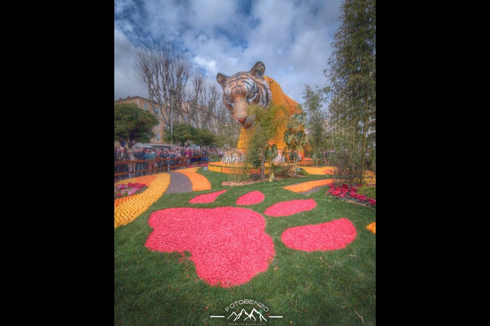 img_20260222_110344.dng +1_+2_+3_0_-1_-2_-3_enhancer.jpeg