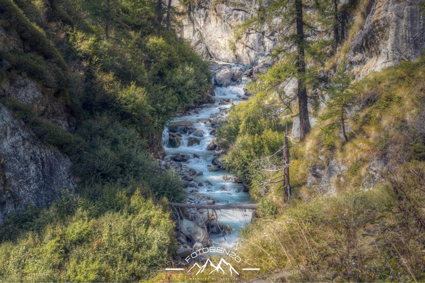 img_6624.cr3 +1_+2_+3_0_-1_-2_-3_enhancer.jpeg