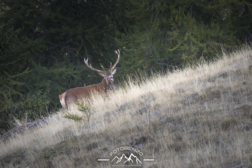 120a7036.jpeg 120a7036.jpeg