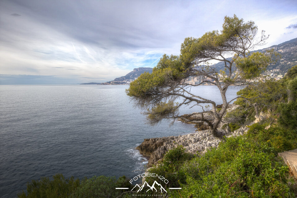 img_6926_7_8_benzo base.jpeg