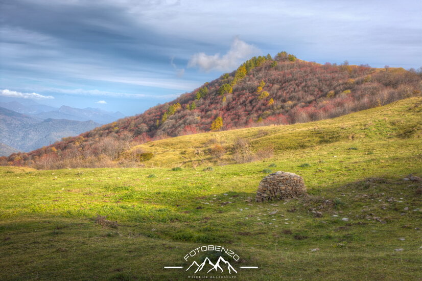 218a4353_4_5_6_7_8_9_enhancer.jpeg 218a4353_4_5_6_7_8_9_enhancer.jpeg