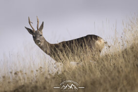 120a7380.jpeg 120a7380.jpeg