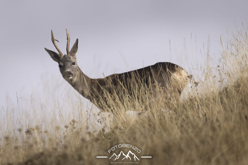 120a7380.jpeg 120a7380.jpeg