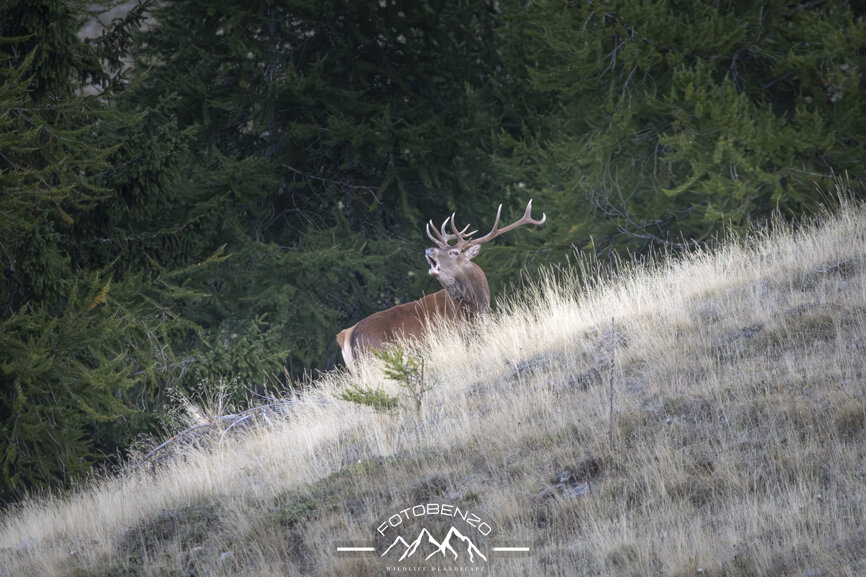 120a7087.jpeg 120a7087.jpeg