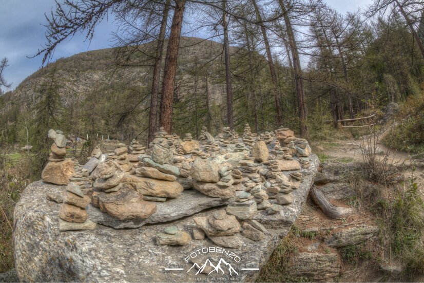 img_6700.cr3 +1_+2_+3_0_-1_-2_-3_enhancer.jpeg