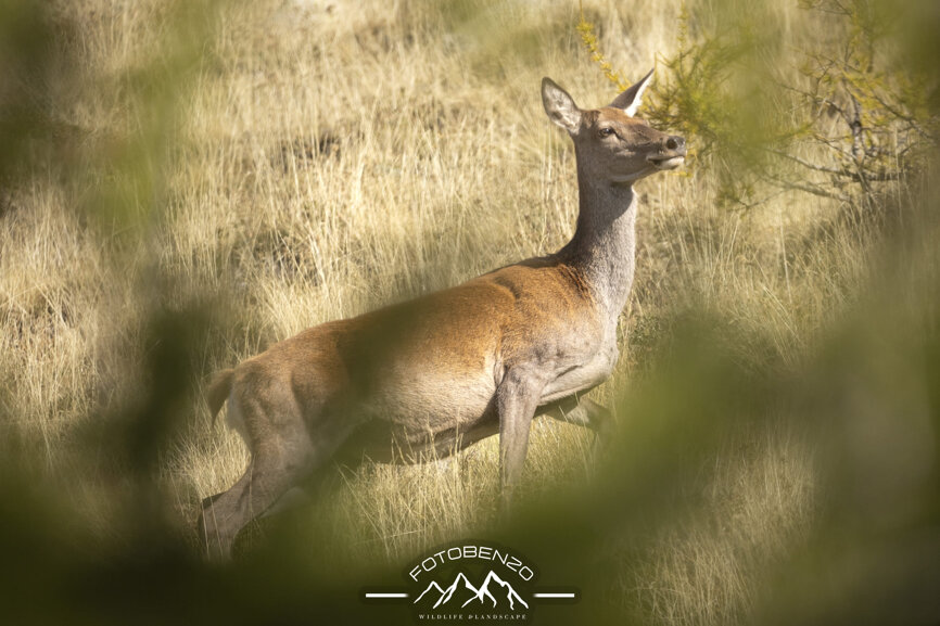 120a7370.jpeg 120a7370.jpeg