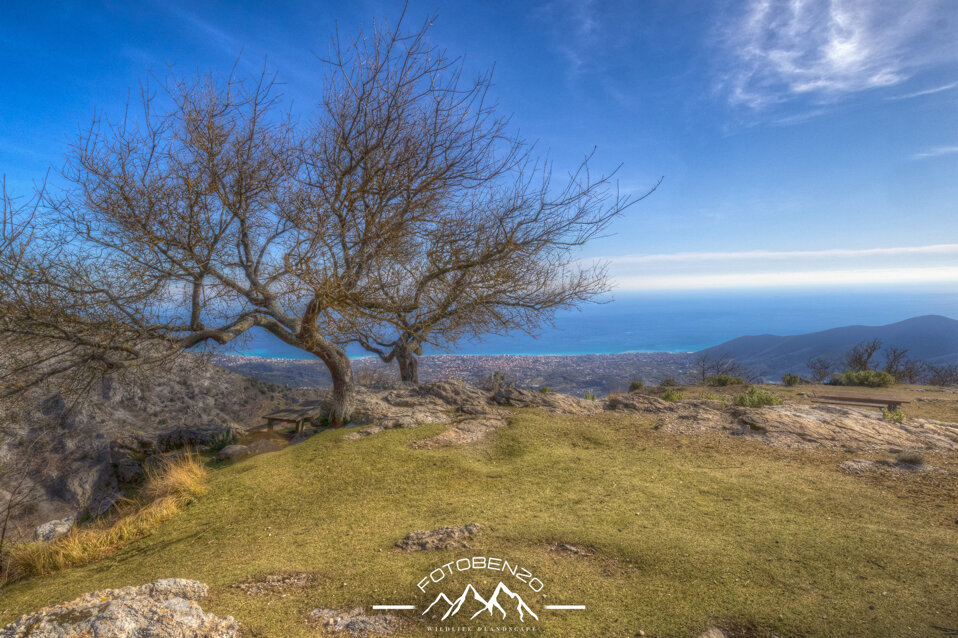 img_8642.cr3 +1_+2_+3_0_-1_-2_-3_enhancer.jpeg img_8642.cr3 +1_+2_+3_0_-1_-2_-3_enhancer.jpeg