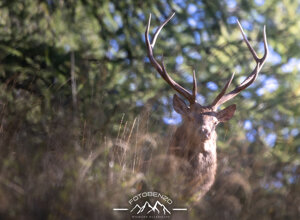 56d9b16e106a610a8292b64a7473ba8b733fc993