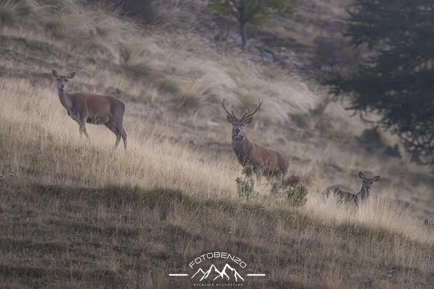 120a7224.jpeg 120a7224.jpeg