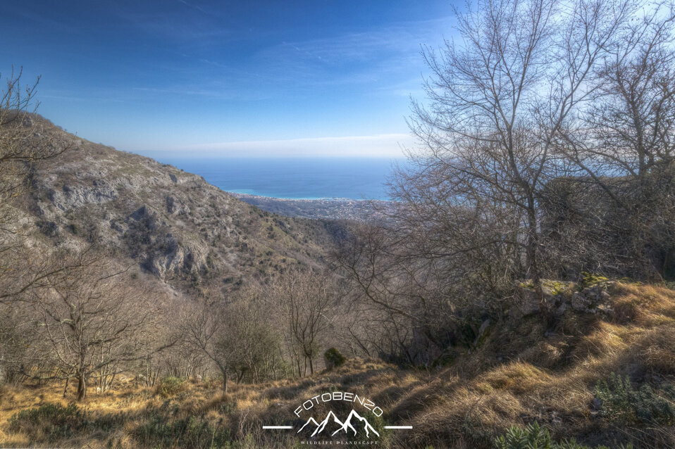 img_8616.cr3 +1_+2_+3_0_-1_-2_-3_enhancer.jpeg img_8616.cr3 +1_+2_+3_0_-1_-2_-3_enhancer.jpeg