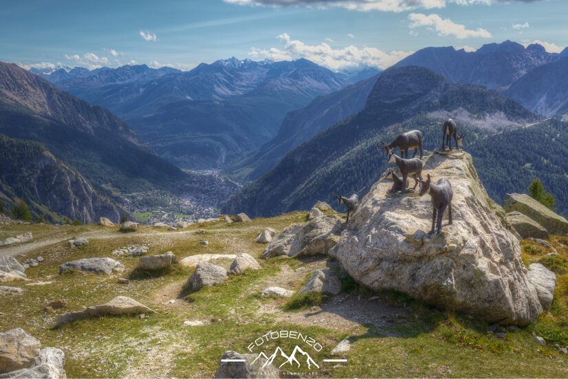 img_6594.cr3 +1_+2_+3_0_-1_-2_-3_enhancer.jpeg