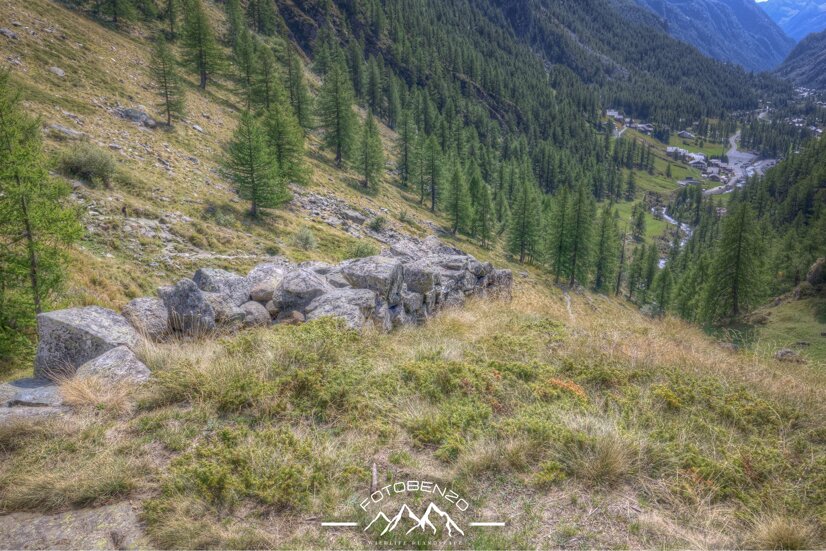 img_6618.cr3 +1_+2_+3_0_-1_-2_-3_enhancer.jpeg