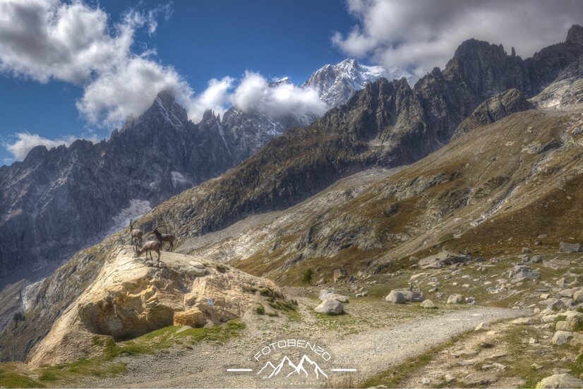 img_6569.cr3 +1_+2_+3_0_-1_-2_-3_enhancer.jpeg