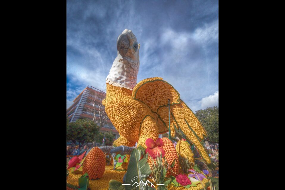 img_20260222_102244.dng +1_+2_+3_0_-1_-2_-3_enhancer.jpeg