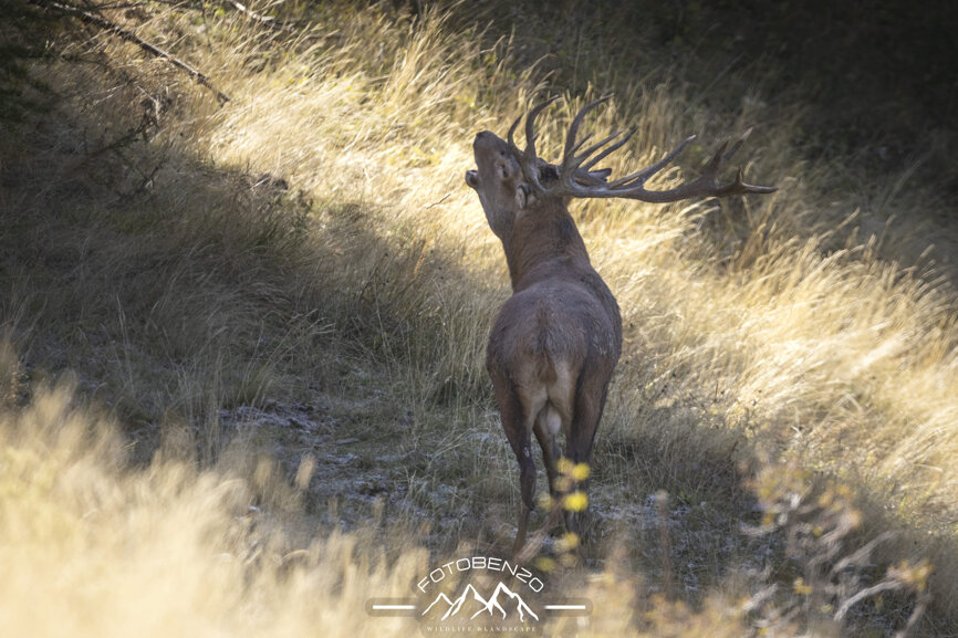 120a7152.jpeg 120a7152.jpeg