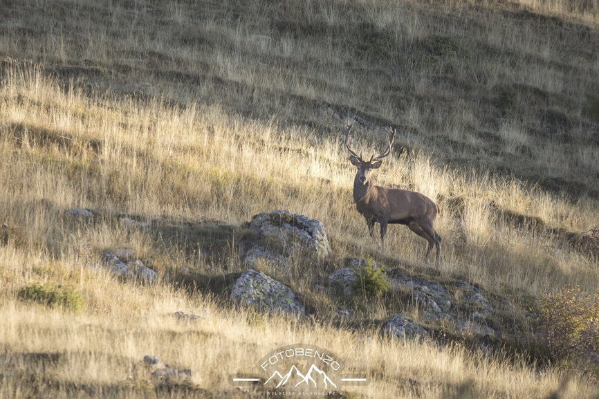 120a7326.jpeg 120a7326.jpeg