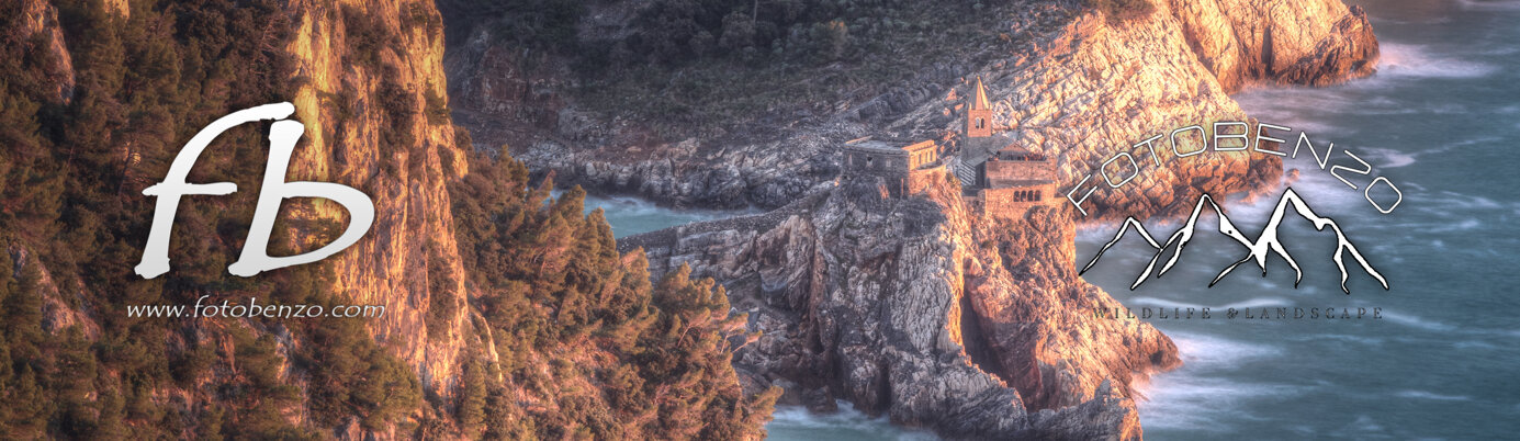 6 copia.jpeg 6 copia.jpeg