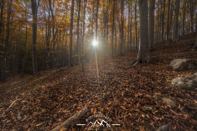 218a4392_3_4_5_6_7_8_enhancer.jpeg 218a4392_3_4_5_6_7_8_enhancer.jpeg