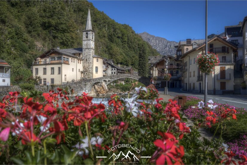 img_6874.cr3 +1_+2_+3_0_-1_-2_-3_enhancer.jpeg