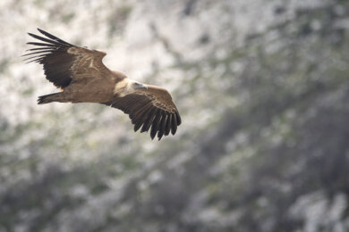 120a6154.jpeg 120a6154.jpeg