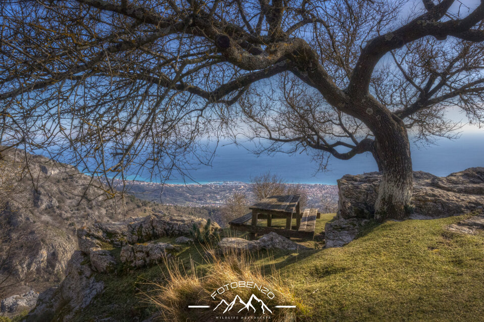 img_8623.cr3 +1_+2_+3_0_-1_-2_-3_enhancer.jpeg img_8623.cr3 +1_+2_+3_0_-1_-2_-3_enhancer.jpeg