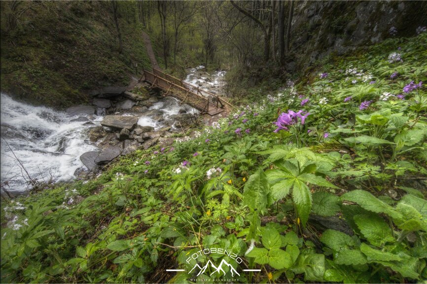 img_20250504_134906.dng +1_+2_+3_0_-1_-2_-3_benzo 2.jpeg