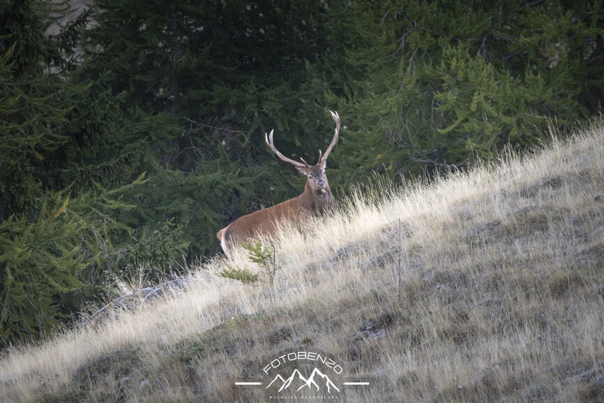 120a7064.jpeg 120a7064.jpeg