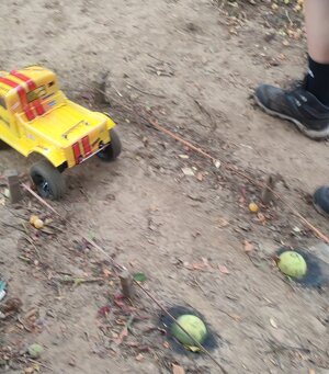 img_20250706_114518.jpeg img_20250706_114518.jpeg