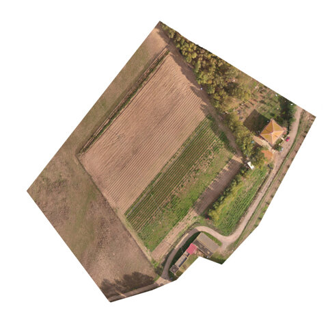 Campo coltivato