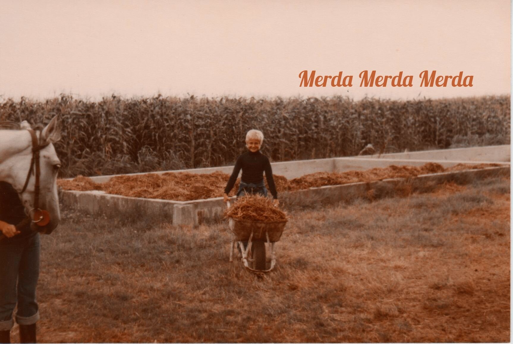 Perché si dice secondo la tradizione teatrale in modo beneaugurante : "MERDA MERDA MERDA" (esclusivamente di cavallo)?