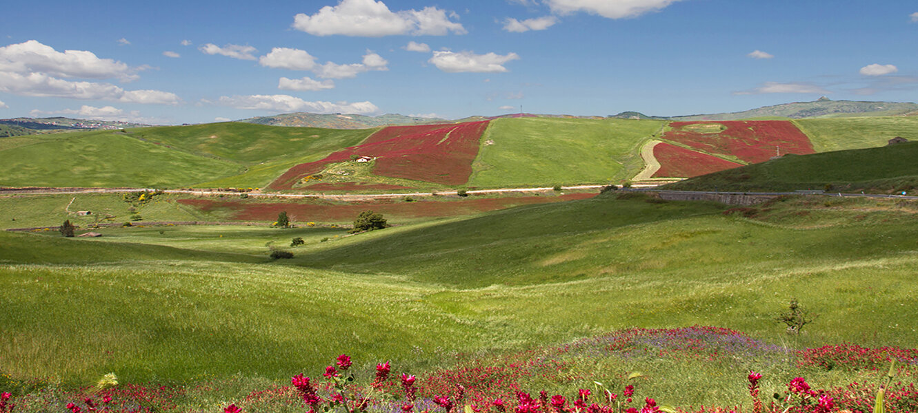 Il paesaggio non � ci� che vediamo, ma ci� che siamo