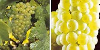 5e7e33ce15533da58008c43ca5db3c9ef268c2df.jpeg 5e7e33ce15533da58008c43ca5db3c9ef268c2df.jpeg