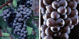 912b5c09345ccfbf572878b7b4c36eb40b059042 912b5c09345ccfbf572878b7b4c36eb40b059042