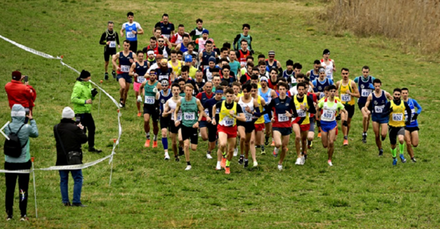 immagine_cross_generica immagine_cross_generica