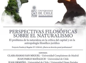 cartaz%20-%20workshop%20ufsc%20-%20justla