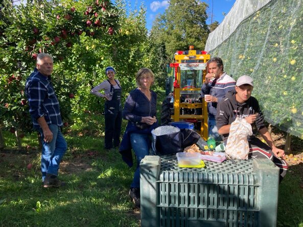 whatsapp image 2023-12-12 at 19.18.44.jpeg