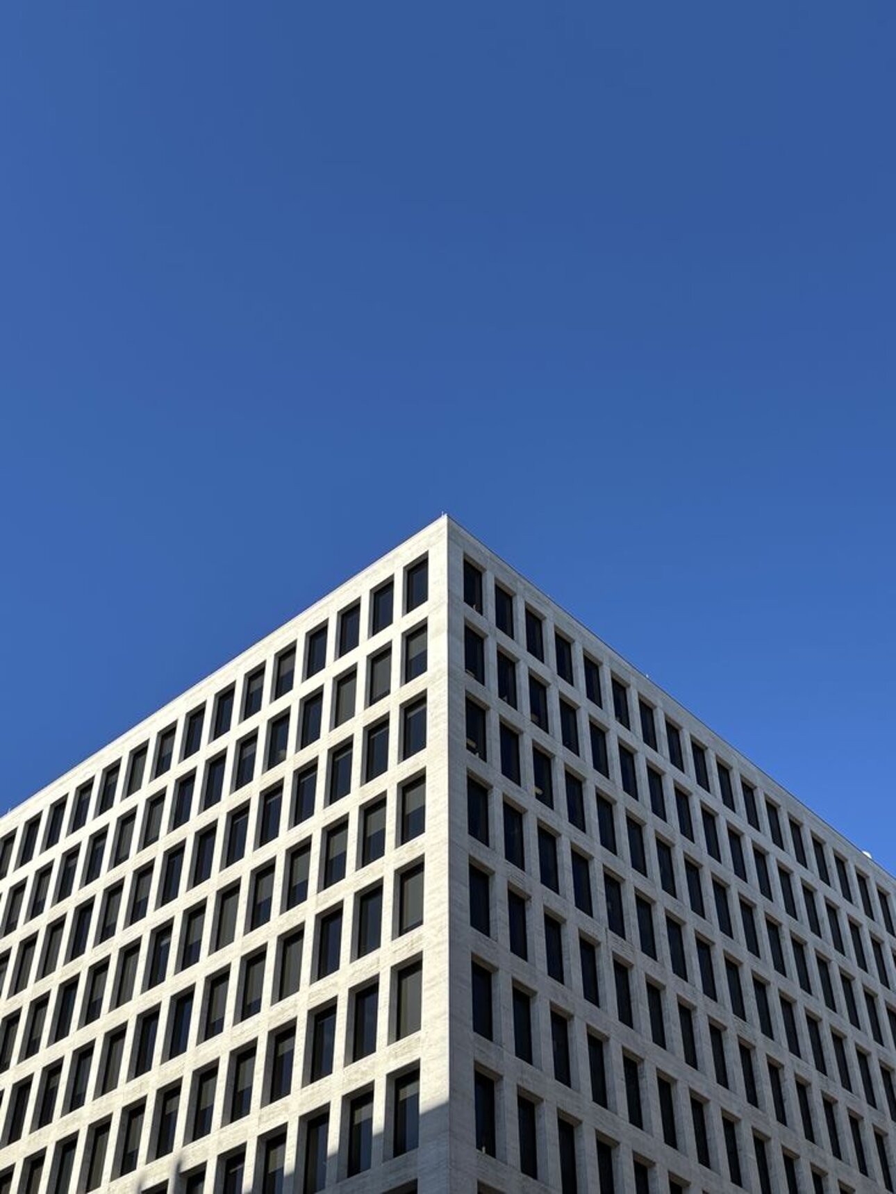 _ (2).jpeg