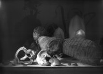 2) Study 01 Studies Inkjet pigment prints of pinhole photo on Canson Baryta Photographique