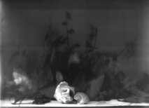 4) Study 03 Studies Inkjet pigment prints of pinhole photo on Canson Baryta Photographique