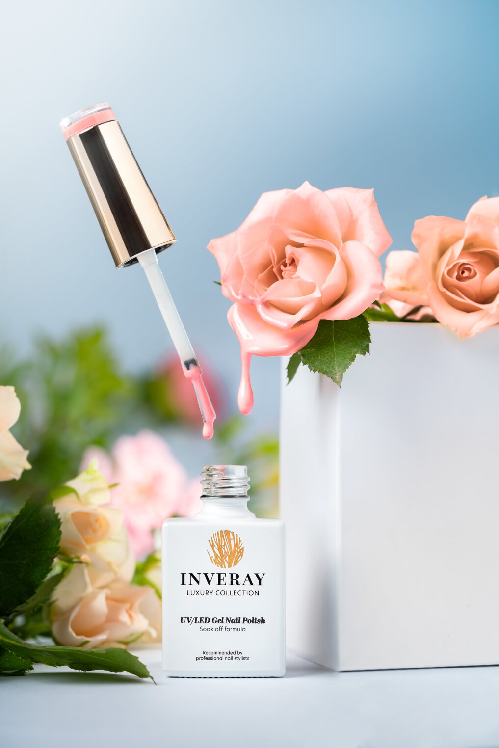 dsc03839_3.jpeg dsc03839_3.jpeg