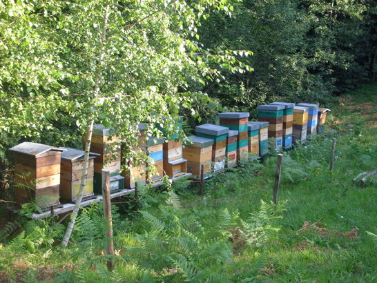 eb17b4d8-af77-4b3b-b89a-43b51db7cf6f eb17b4d8-af77-4b3b-b89a-43b51db7cf6f