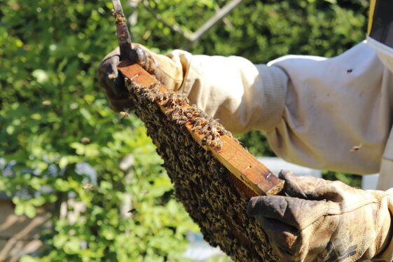 1d946cc6-aa19-42ac-b877-9a0160db3e60