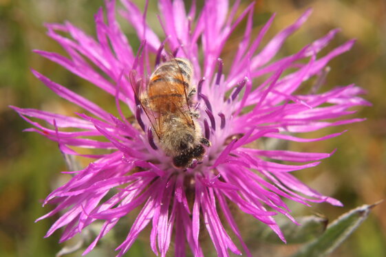 75241774-4eb8-4a7d-814c-a18adc671d39