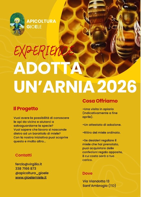 adotta_1.jpeg adotta_1.jpeg