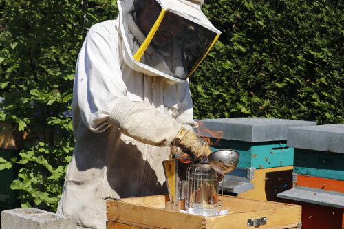 d35a1eac-b2ad-4aab-859f-07b75013014a