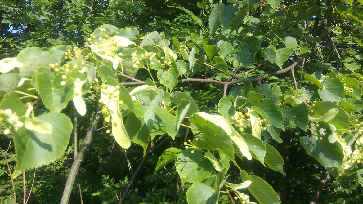 8b060e60-3b6f-4c7c-bdb2-bbe1fead481d