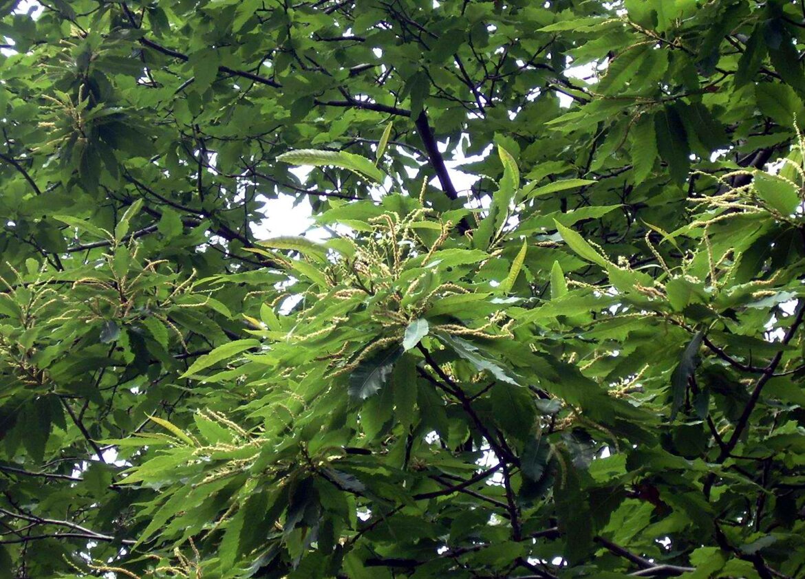 61159012-e573-4738-b51e-9b81089afc63